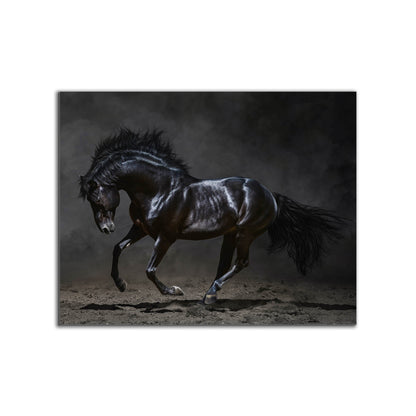 Black Majestic Horse - Wildlife Canvas Art - Diamond varnish